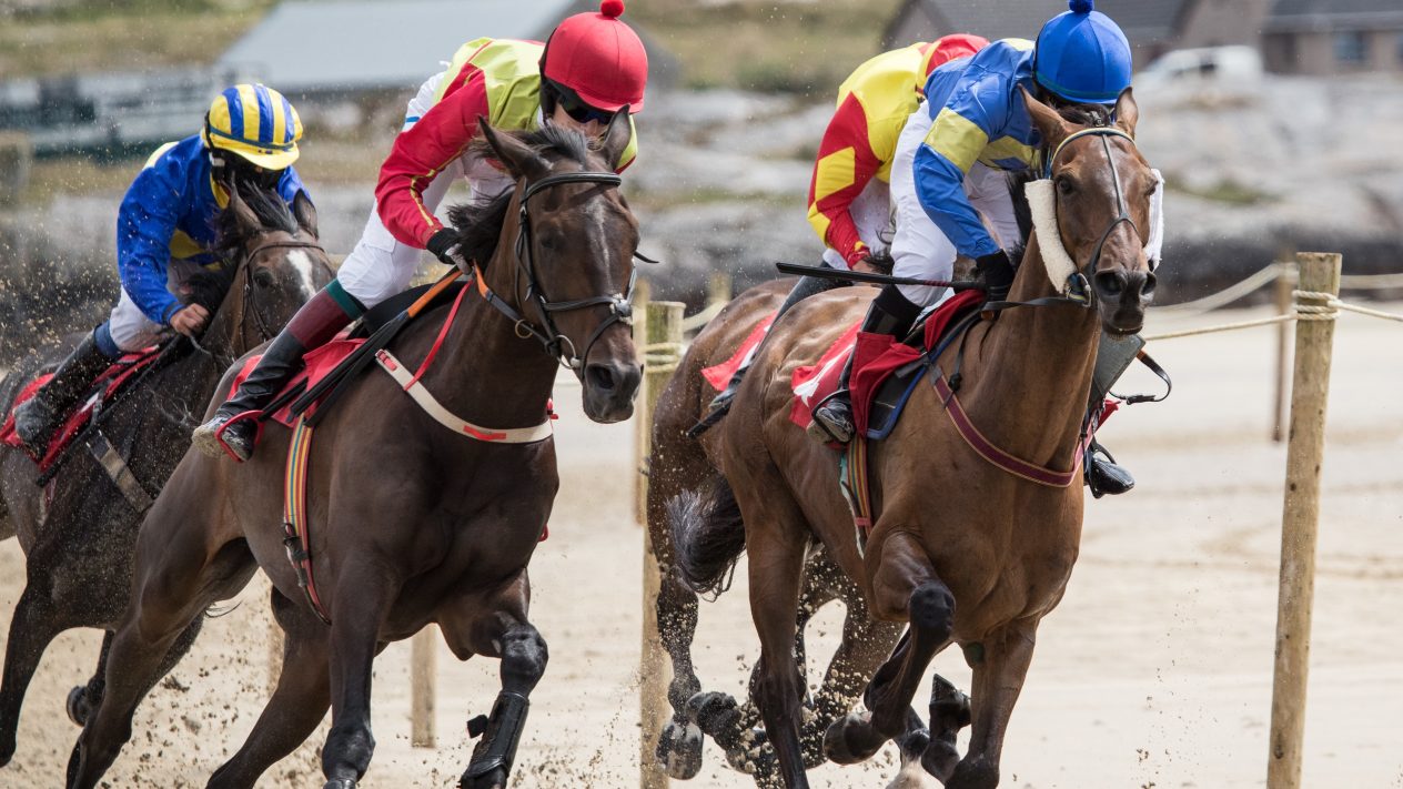 SBC News Sharon Byrne, Irish Bookmakers Association: <br>Securing the future of Irish betting shops