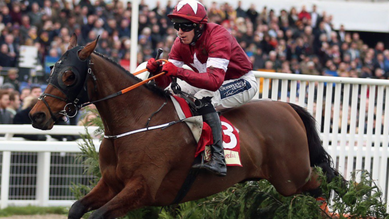 SBC News Historic Tiger Roll triumph sees bookmakers anticipate record breaking payouts