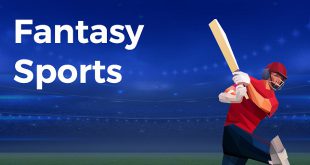 SBC News Gamepind launches cricket-focused fantasy product