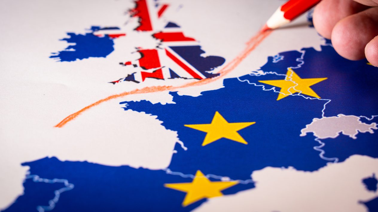 SBC News Brexit Party tipped to gain majority as EU elections loom