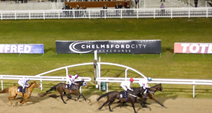 SBC News Chelmsford calls on horsemen to help offset prize-money cuts