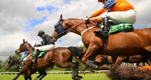 SBC News Tom Byrne, HBLB: Horseracing gets race-by-race betting data boost