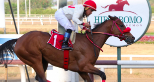 SBC News Codere renegotiates Panama Equestrian prize fund