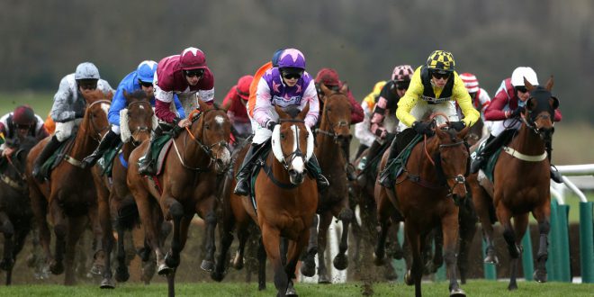 SBC News Countdown to Cheltenham: Racing Post discusses getting 'festival ready'