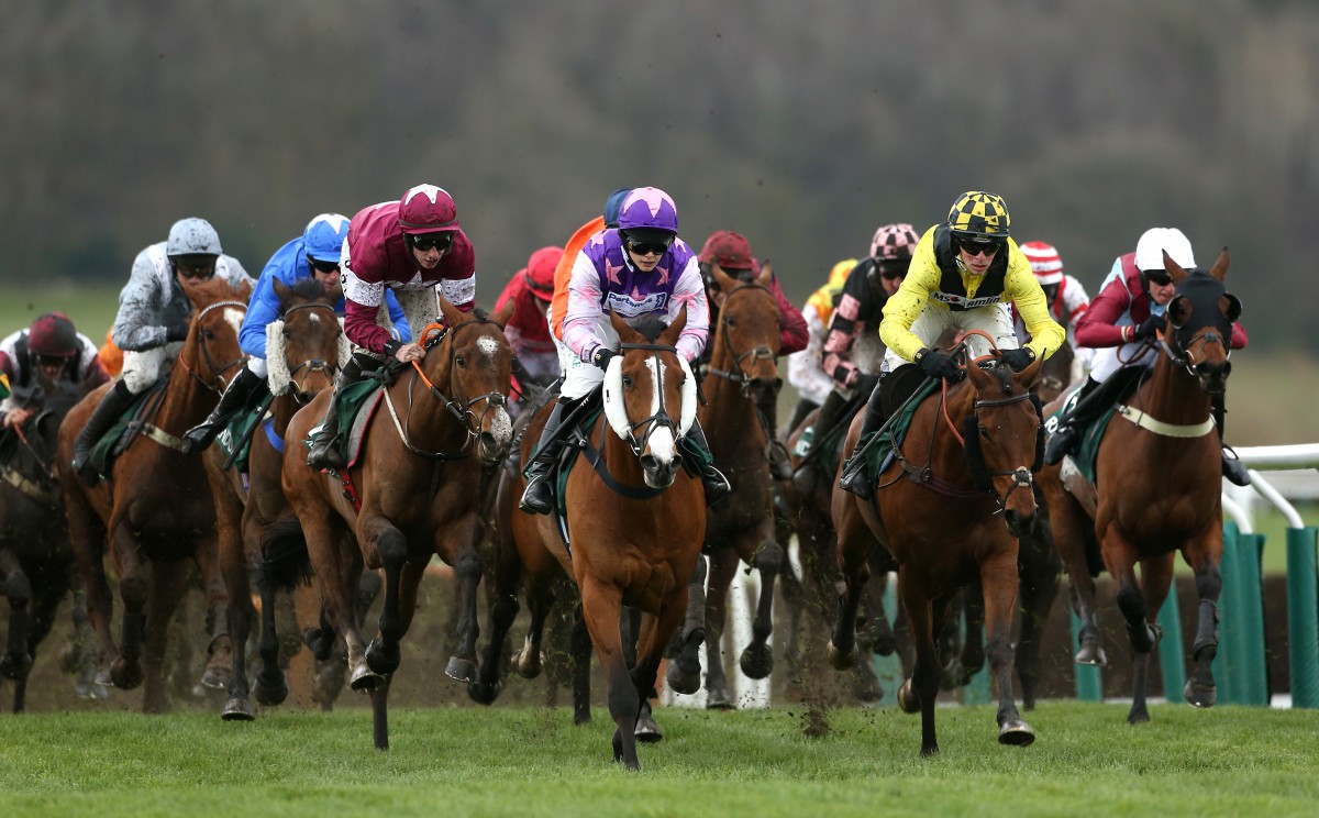 Countdown to Cheltenham: Racing Post discusses getting 'festival ready'