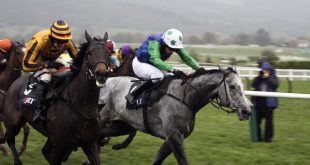 SBC News Countdown to Cheltenham: Wednesday racecard ‘not a worry at the moment’ says BoyleSports
