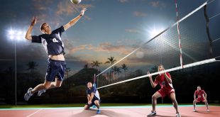 SBC News IMG Arena secures European volleyball betting data deal