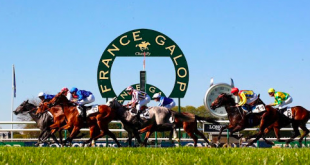 SBC News France Galop eyes May return for French Racing