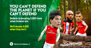 SBC News Paddy Power guarantees Hector's Arsenal tree pledge