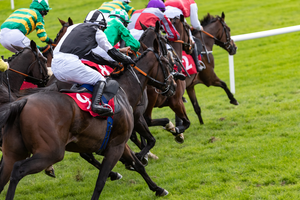 SBC News Bookmakers support racing with additional streaming and data fees