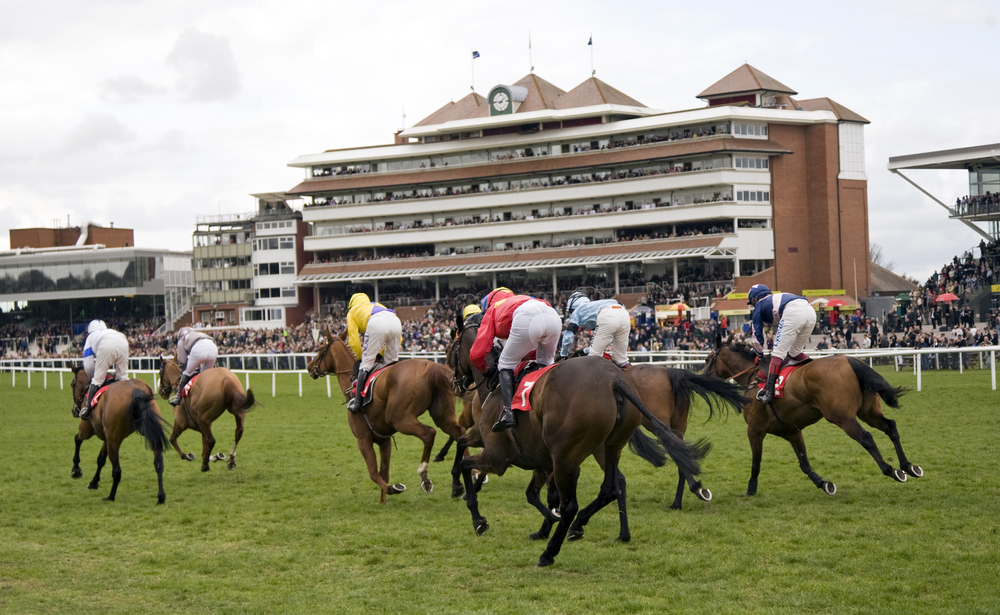 Newbury Racecourse signs new deal with MansionBet