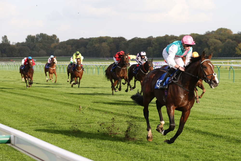 Affordability checks could have ‘devastating impact on sport’ says MP