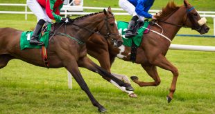SBC News Horse racing excluded from government’s spectator return schedule