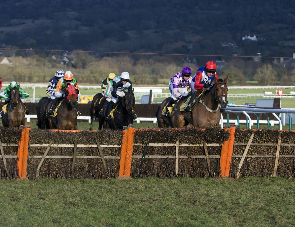 RMG passes the winning post with Cheltenham streaming record