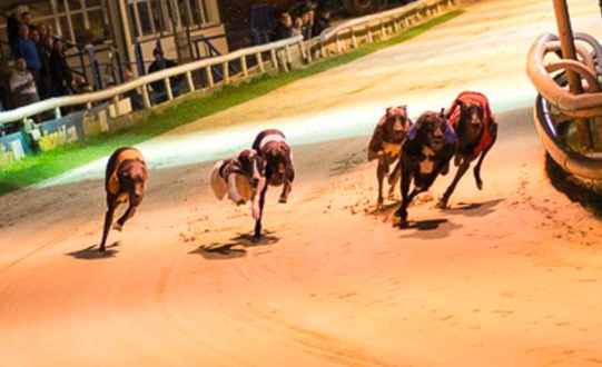 SBC News ARC acquires Central Park ahead of Greyhound racing makeover 