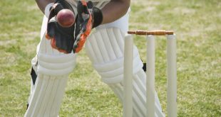 SBC News Sportradar’s cricket collection tool makes debut under ICC deal