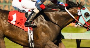 SBC News Pronet expands into horse racing with BetMakers partnership