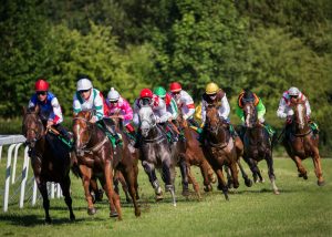 SBC News BoyleSports: A refined horse racing relationship and navigating Irish regulatory change
