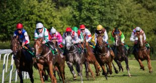SBC News Novibet enhances horse racing marketing with ARC deal