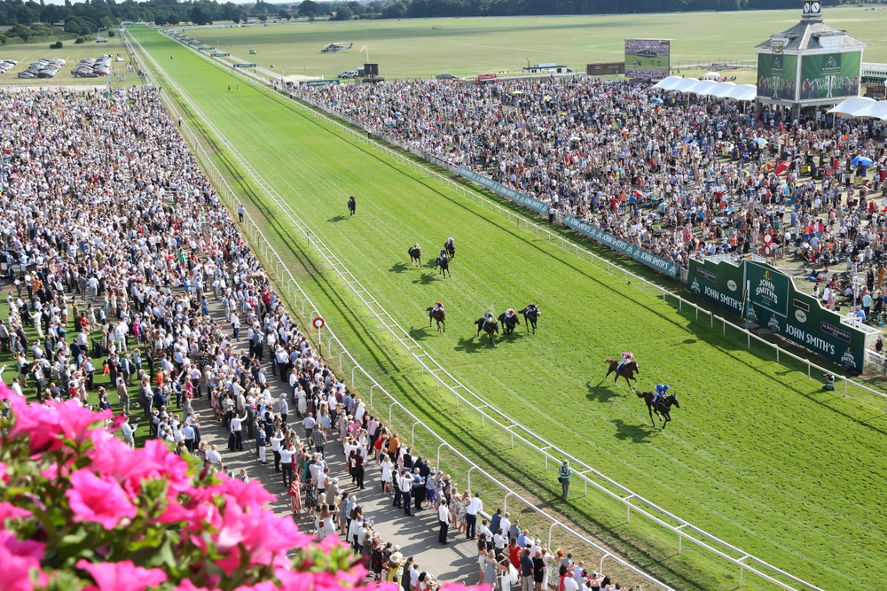 SBC News Stake.com strengthens portfolio with horse racing data from Racing and Sports