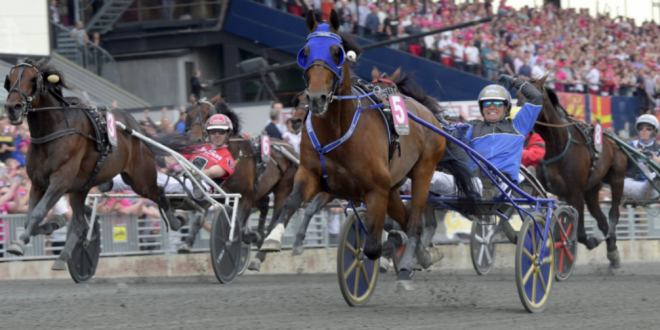 SBC News Swedish Trotting trials Xpress format to revive winter schedule 