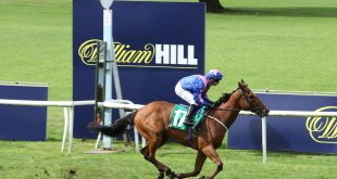 SBC News William Hill ‘could not be happier’ with Northumberland Plate sponsorship