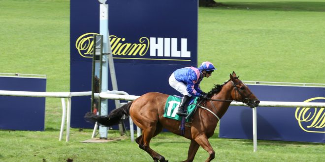 SBC News William Hill ‘could not be happier’ with Northumberland Plate sponsorship