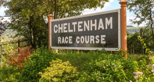 UK Tote saddles up for ‘Journey to Cheltenham’