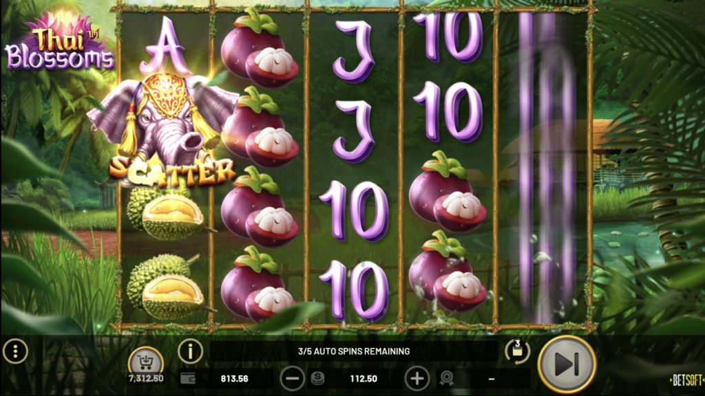 Thai Blossoms claims SlotBeats SOTW 8 SBC News Thai Blossoms claims SlotBeats SOTW