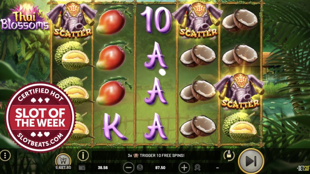 Thai Blossoms claims SlotBeats SOTW 4 SBC News Thai Blossoms claims SlotBeats SOTW