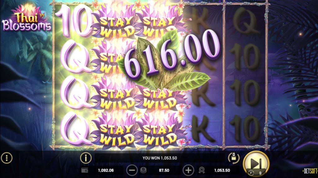Thai Blossoms claims SlotBeats SOTW 11 SBC News Thai Blossoms claims SlotBeats SOTW