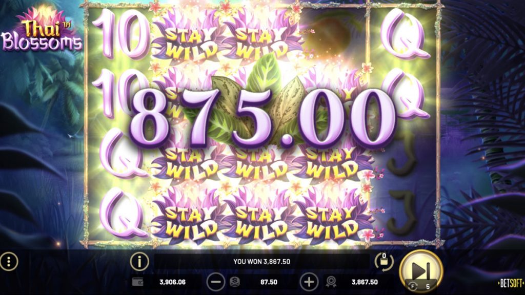 Thai Blossoms claims SlotBeats SOTW 9 SBC News Thai Blossoms claims SlotBeats SOTW