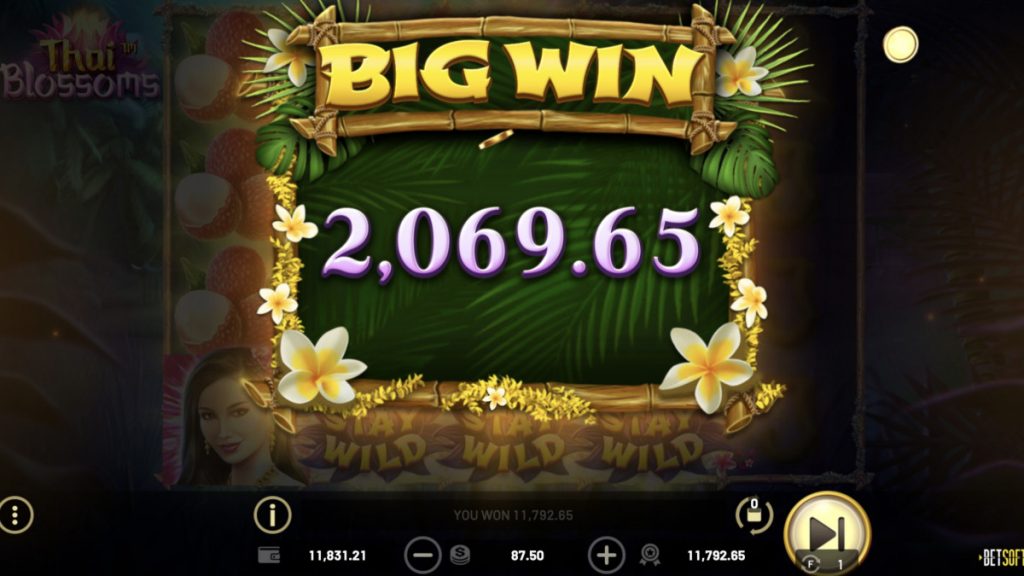 Thai Blossoms claims SlotBeats SOTW 7 SBC News Thai Blossoms claims SlotBeats SOTW
