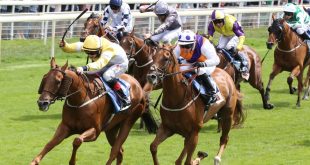 SBC News CopyBet enlists PABS for UK horse racing market debut