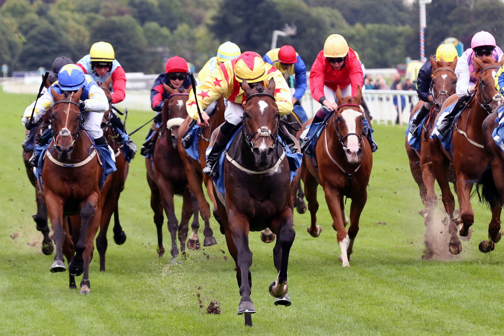 SBC News ARC moves to strengthen racecourse management with Garrity appointment