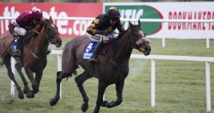SBC News Horse Racing Ireland betting back on track in 2021 report