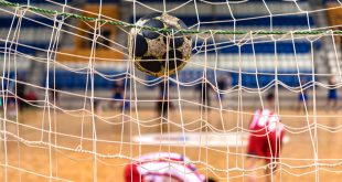 SBC News Betcris marks Polish sponsorship debut with volleyball and handball teams