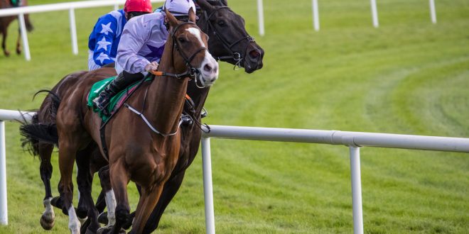 SBC News Racehorse Lotto to pursue Irish expansion with £2m raise