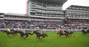 SBC News Sky Bet and York Racecourse expand length and scope of partnership