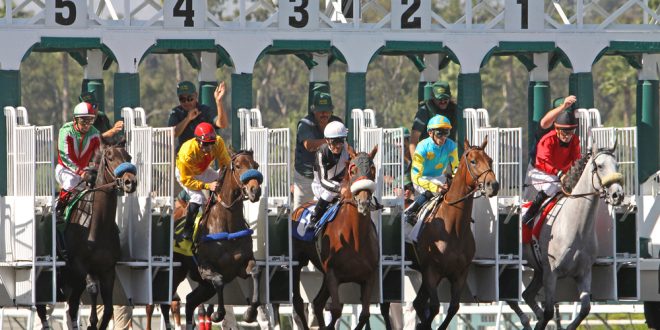 SBC News HBA Media to distribute Breeders’ Cup for further three seasons