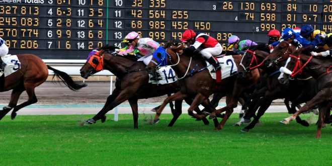 SBC News Hong Kong betting growth continues as HJKC reports record turnover