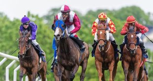 SBC News Sweden: ATG recovery continues as sports betting softens horse racing decline