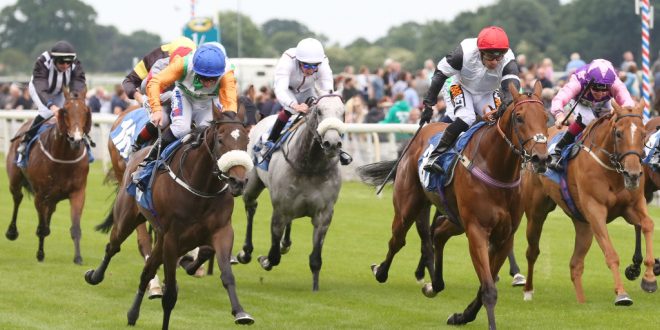 Vincent Finegan, irishracing.com: bringing horse racing to the Better Collective stable