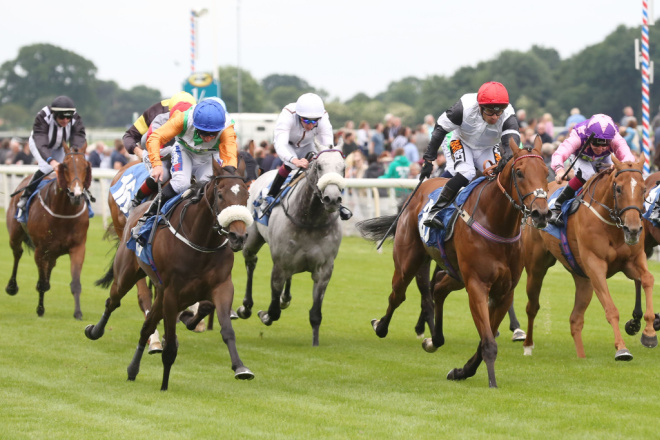 Vincent Finegan, irishracing.com: bringing horse racing to the Better Collective stable