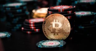 SBC News SOFTSWISS maintains faith in crypto bounceback in H1 betting trend analysis