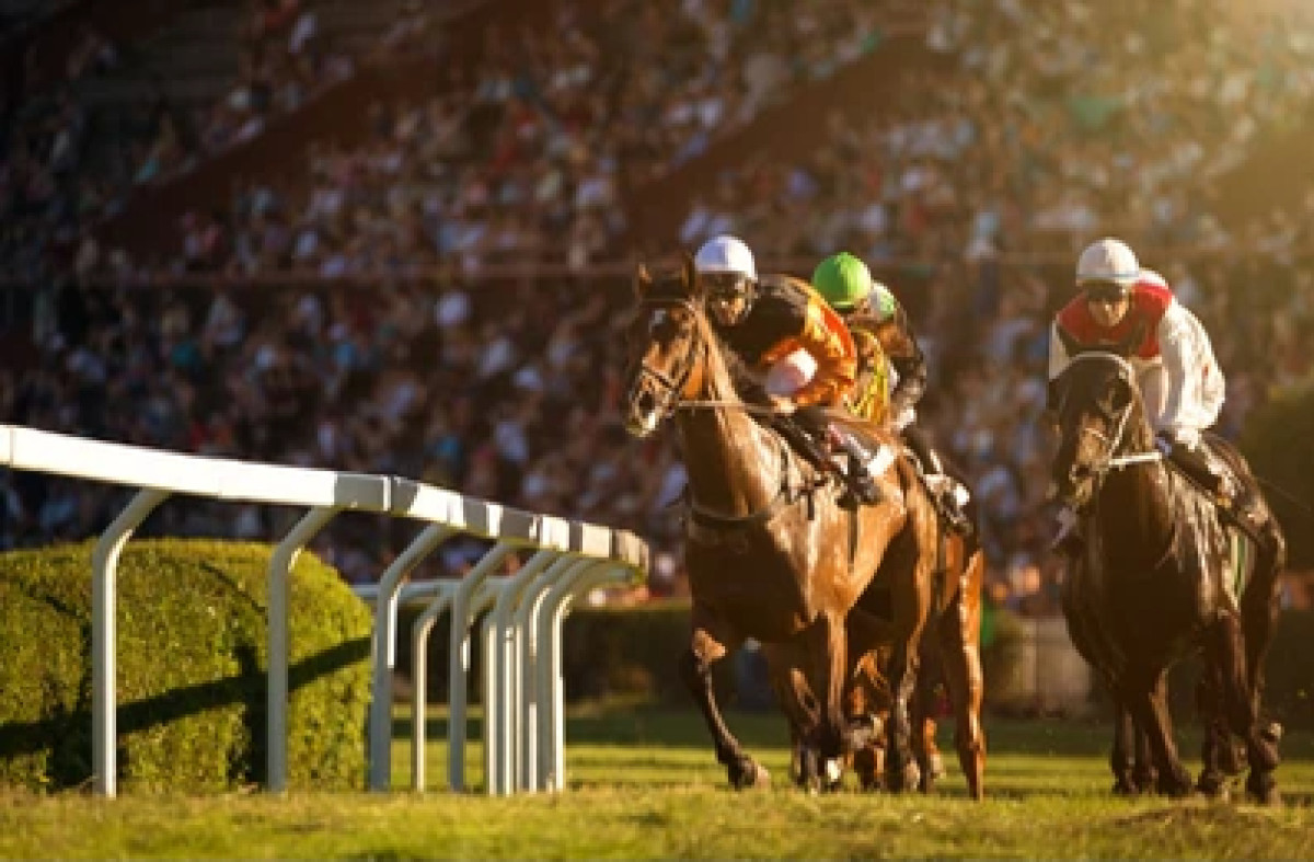 Seven Star Digital acquires HorseRacing.net