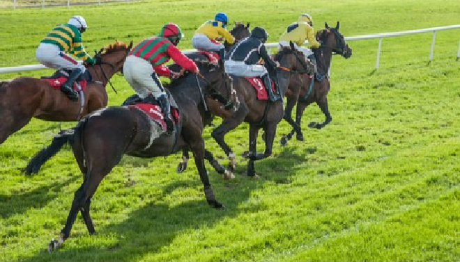 ARC finalises Vermantia acquisition