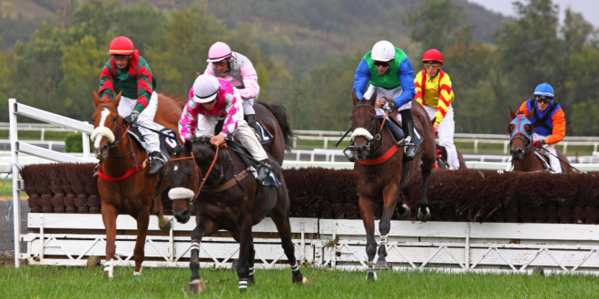 zetruf france horse race
