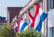Dutch flags