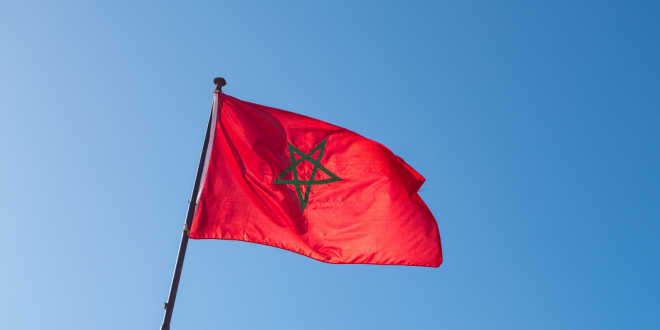 Sisal Morocco